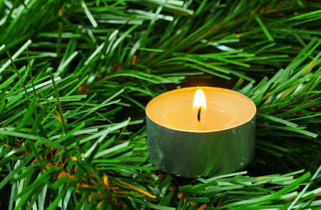 Candle and christmas tree - abstract holiday backgroundの写真素材