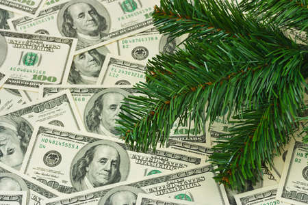 Christmas tree and money - holiday backgroundの写真素材