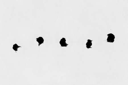 Holes on paper - abstract backgroundの写真素材