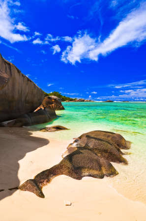 Tropical beach - vacation nature backgroundの写真素材