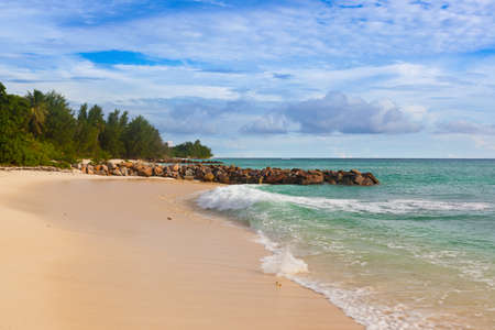 Seychelles tropical beach at sunset - nature backgroundの写真素材