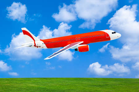 Model of plane - on sky background
