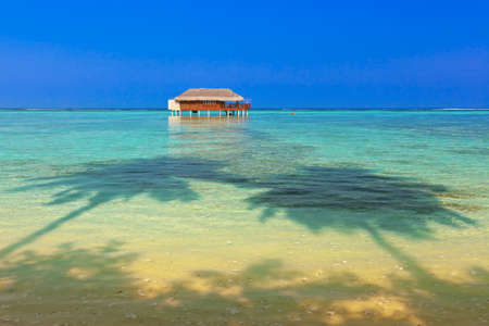 Tropical Maldives island - nature travel backgroundのeditorial素材