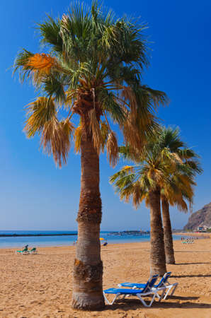 Beach Teresitas in Tenerife - Canary Islands Spainの写真素材