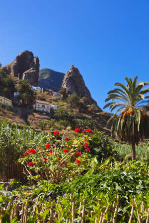 Hermigua valley in La Gomera island - Canary Spainの写真素材