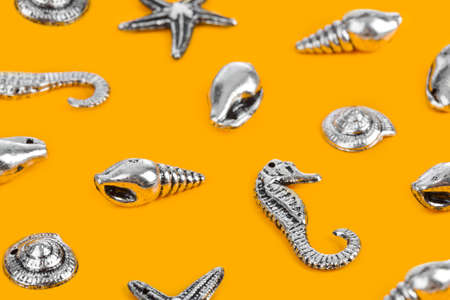 Group of sea conches - beach concept backgroundの写真素材