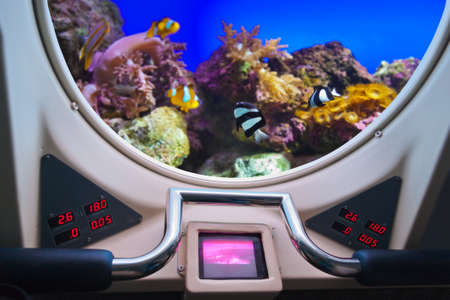 Fishes in submarine window - underwater marine lifeの写真素材