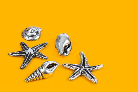 Group of sea conches - beach concept backgroundの写真素材