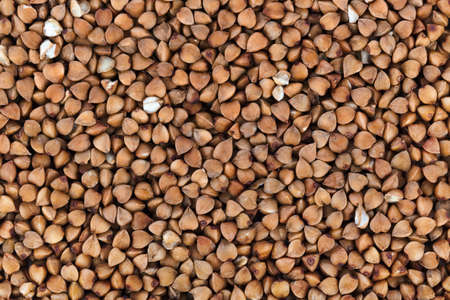Buckwheat texture - food backgroundの写真素材
