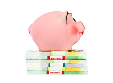 Piggy bank and money isolated on white backgroundの写真素材