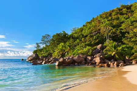 Seychelles tropical beach at sunset - nature backgroundの写真素材