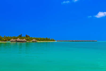 Tropical Maldives island - nature travel background