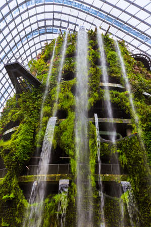Cloud Forest Dome at Gardens by the Bay in Singapore - nature backgroundのeditorial素材