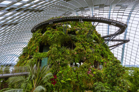 Cloud Forest Dome at Gardens by the Bay in Singapore - nature backgroundのeditorial素材
