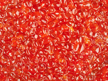 Macro of red caviar - food backgroundの写真素材