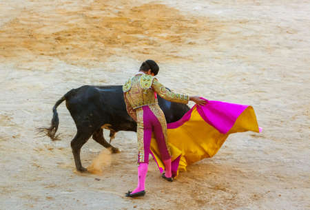 Matador and bull on tourada bullfight in Moita - Lisbon Portugal
