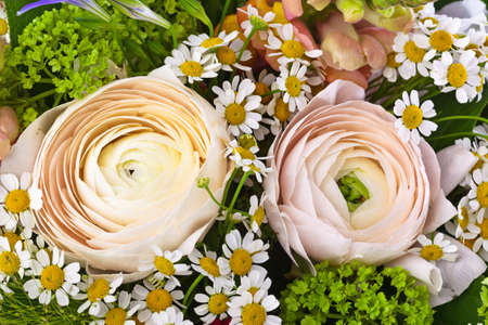 Flowers bouquet - nature floral background