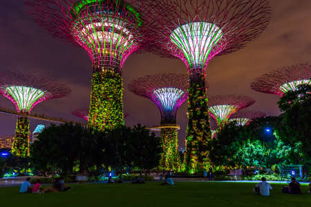 Park Gardens by the Bay in Singapore - nature and travel background