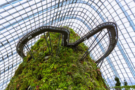 Cloud Forest Dome at Gardens by the Bay in Singapore - nature backgroundのeditorial素材