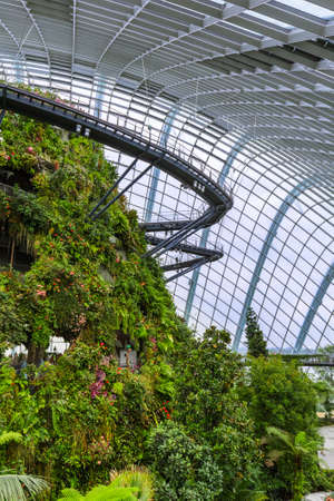 Cloud Forest Dome at Gardens by the Bay in Singapore - nature backgroundのeditorial素材