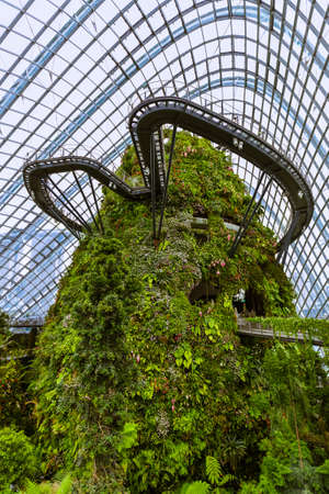 Cloud Forest Dome at Gardens by the Bay in Singapore - nature backgroundのeditorial素材