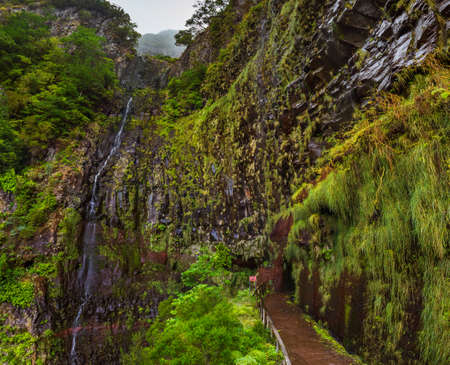 Risco levada in Madeira Portugal - travel backgroundの写真素材