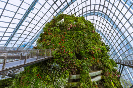 Cloud Forest Dome at Gardens by the Bay in Singapore - nature backgroundのeditorial素材
