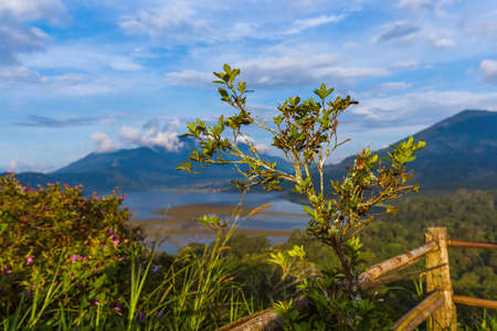 Lake Buyan in Bali Island Indonesia - nature travel backgroundの写真素材