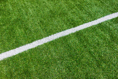 Lines on soccer football field - sport backgroundの写真素材