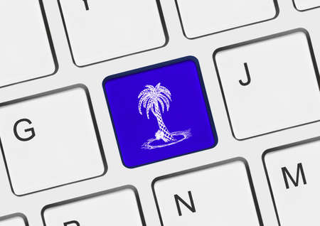 Computer keyboard with palm tree key