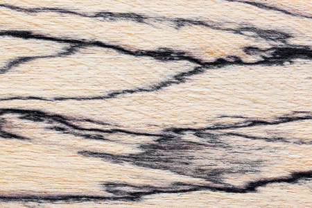 Wood background - abstract wooden retro textureの写真素材