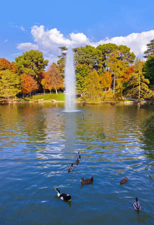 Ducks in pond near Crystal Palace - Madrid Spainのeditorial素材