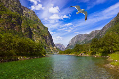 Fjord Sognefjord in Norway - nature and travel backgroundの写真素材