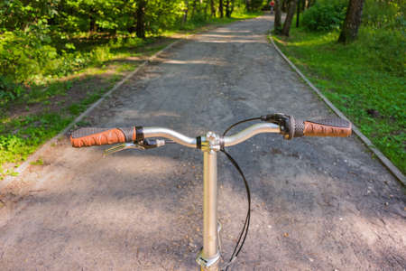 Bicycle in forest - sport and travel backgroundの写真素材