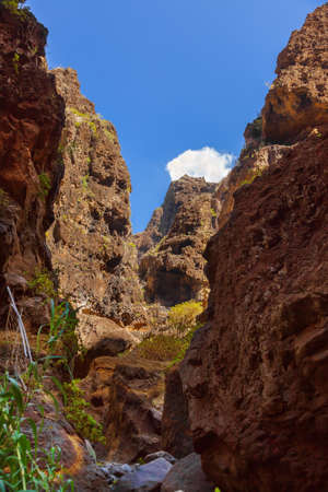 Famous canyon Masca at Tenerife island - Canary Spainの写真素材