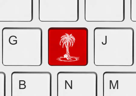 Computer keyboard with palm tree keyの写真素材