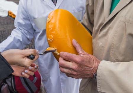Cheese degustation at traditional cheese market in Alkmaar Netherlandsの写真素材