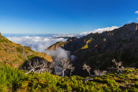 Hiking Pico Ruivo and Pico do Arierio - Madeira Portugal - travel backgroundの写真素材