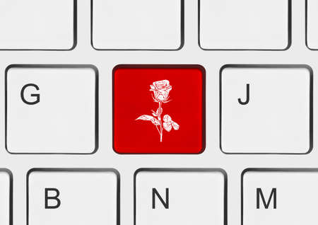 Computer keyboard with flower key - technology backgroundの写真素材