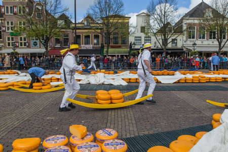Alkmaar, Netherlands - April 28, 2017: Cheese carriers at traditional cheese market.