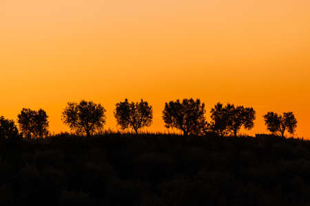 Sunset in the Tuscany Italy - travel backgroundの写真素材