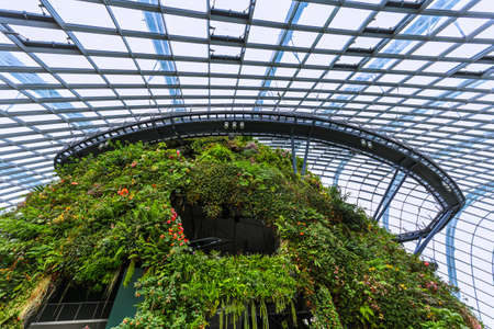Cloud Forest Dome at Gardens by the Bay in Singapore - nature backgroundのeditorial素材