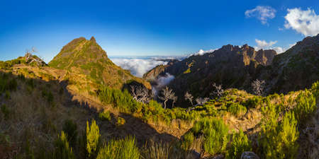 Panorama - Pico Ruivo and Pico do Arierio - Madeira Portugal - travel backgroundの写真素材