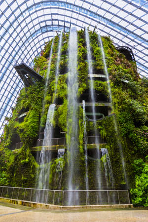 Cloud Forest Dome at Gardens by the Bay in Singapore - nature background