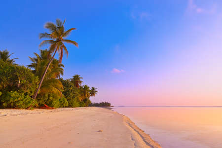 Sunset in Maldives beach - nature vacation backgroundの写真素材