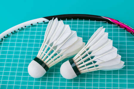 Badminton shuttlecocks and racket on green - sport background