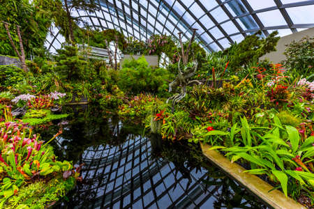 Cloud Forest Dome at Gardens by the Bay in Singapore - nature backgroundのeditorial素材