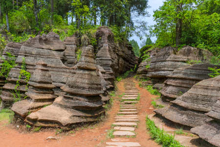Park of red stones Hongshilin - Hunan China - nature backgroundの写真素材