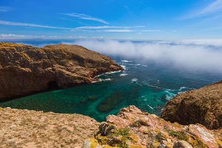 Berlenga island - Portugal - nature background