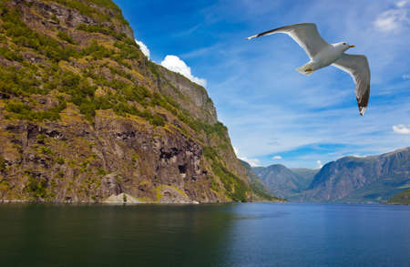 Fjord Naeroyfjord in Norway  nature and travel backgroundの写真素材